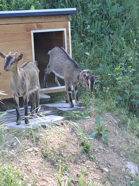 Domaine AbracadaRoom : L'Ephémère - Image 20