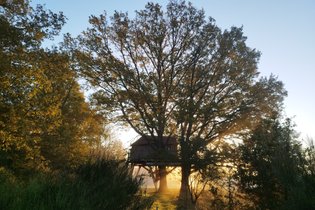 La cabane des chênes