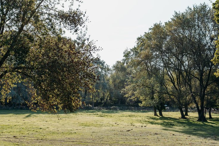 Domaine AbracadaRoom : Domaine de Biar - Image 43