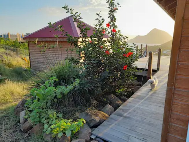 Domaine AbracadaRoom : Ti Kaz Anoli - Image 2