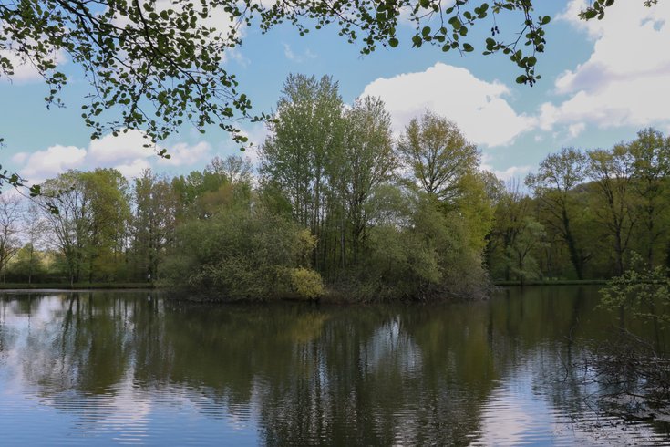 Domaine AbracadaRoom : Domaine du Grand Chêne - Image 1