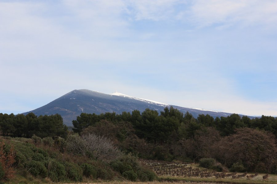 Domaine AbracadaRoom : Cabane du Ventoux - Image 5