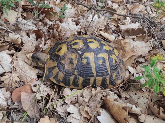 Domaine AbracadaRoom : Les Ecuries du Soleil - Image 20