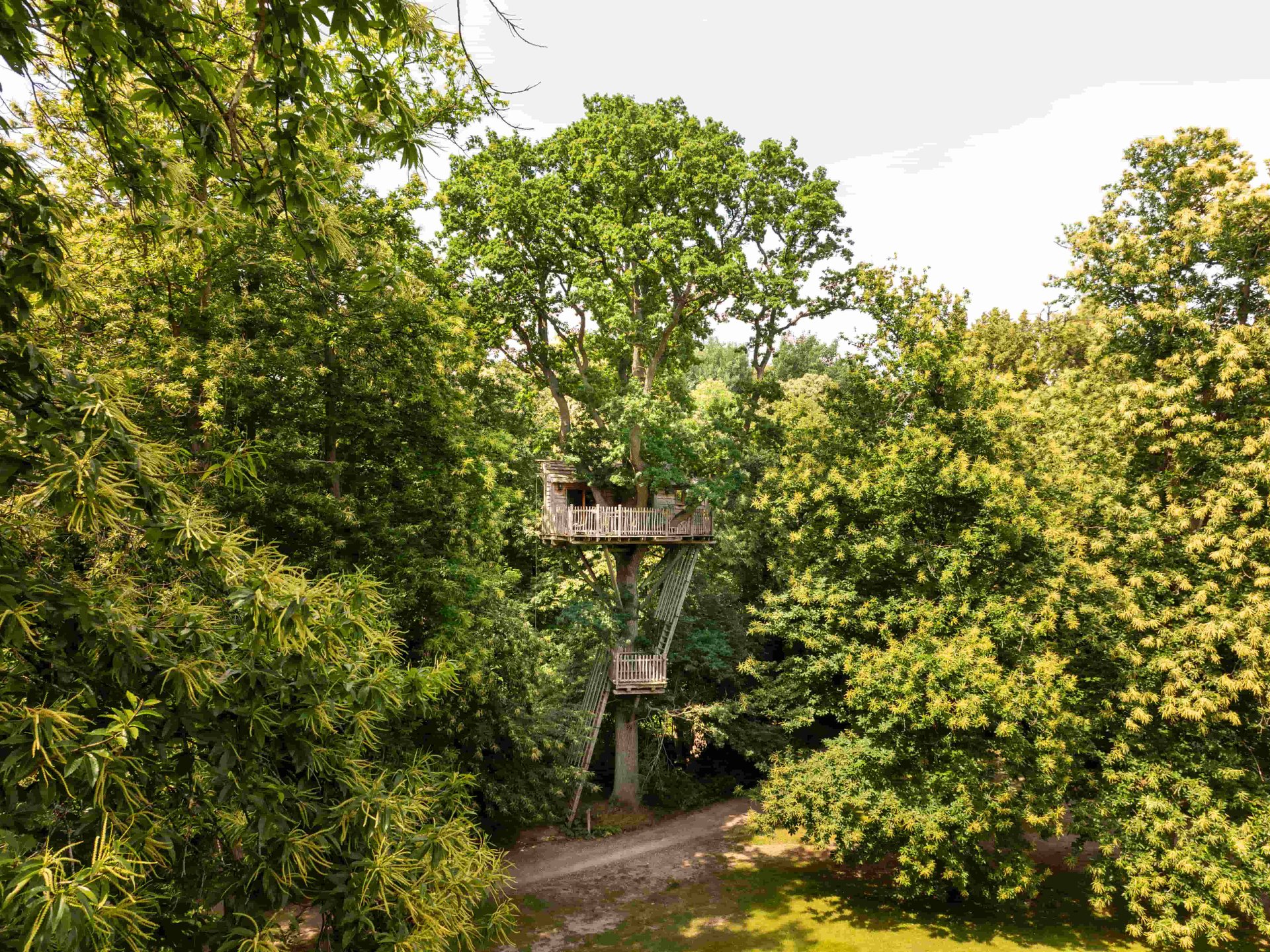 Cabanes Duo dans les Arbres