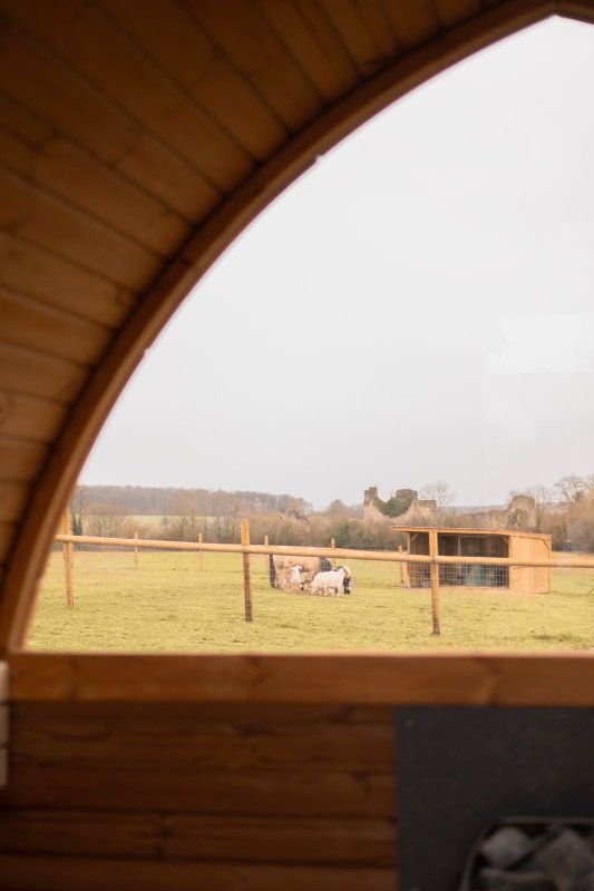 LA ROULOTTE DU RANCH, Bain Nordique, Sauna et Animaux à Blamont (7)