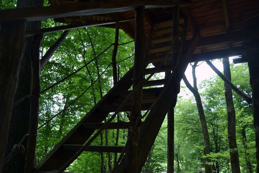 Hébergement AbracadaRoom : Cabane Mandubienne - Image 4