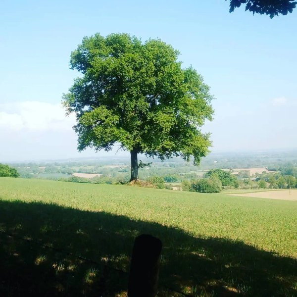 Domaine AbracadaRoom : Ecodomaine Rêver Ailleurs - Image 6