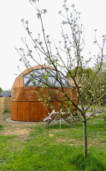 Domaine AbracadaRoom : Le Cocon d'Eywa - Image 1