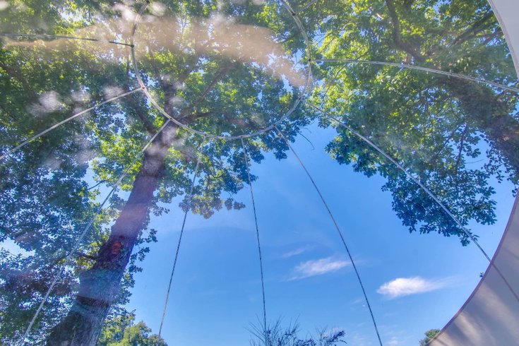 Hébergement AbracadaRoom : Bulle La Grande Ourse - Image 5