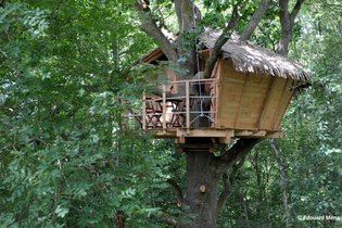 Treehouse Seine-Maritime