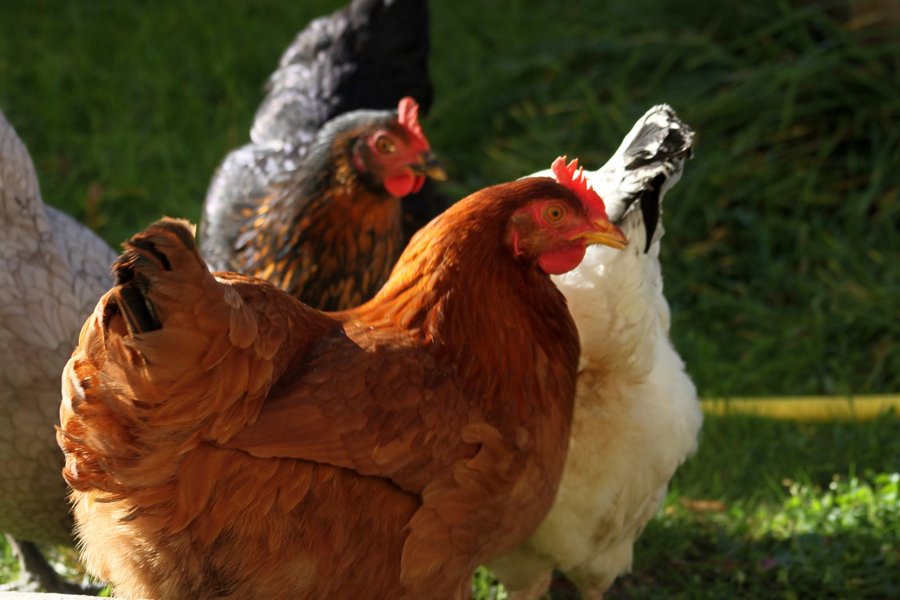 Domaine AbracadaRoom : La Maison du Bonheur - Image 12