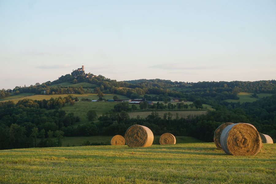 Domaine AbracadaRoom : A la Belle Ecorce - Image 1