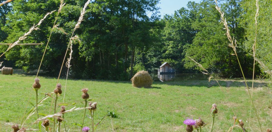 Domaine AbracadaRoom : Domaine des Vaulx - Image 14