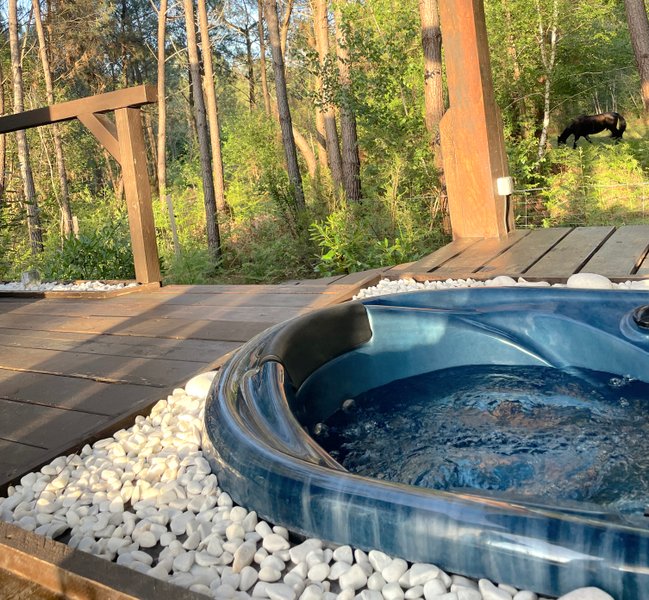 Hébergement AbracadaRoom : L'O2 : la Cabane vitrée panoramique - Image 6