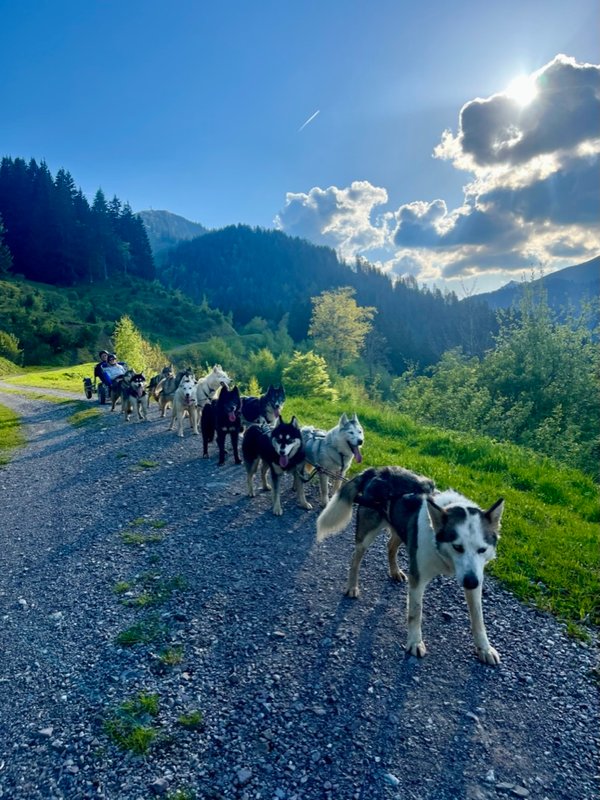 La Mine de Buck & Spa à Le Biot (19)