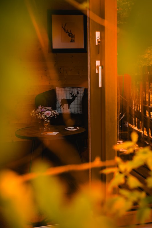 Cabane Spa des Hauts Bois à Sace (11)