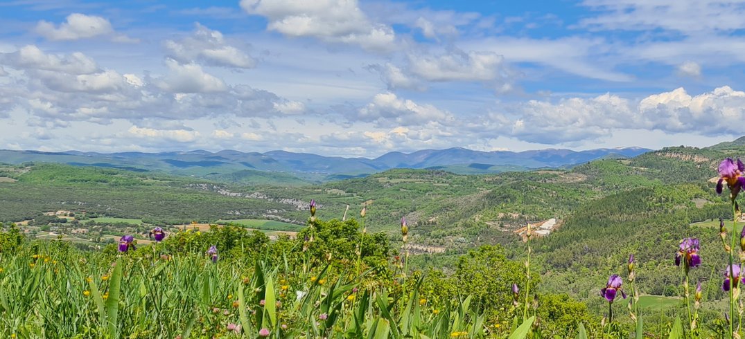 Domaine AbracadaRoom : Détente en Luberon - Image 3