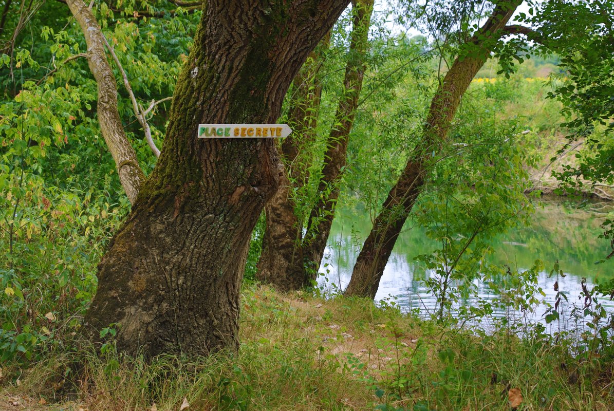 La roulotte de la magicienne à Brienon-Sur-Armançon (18)