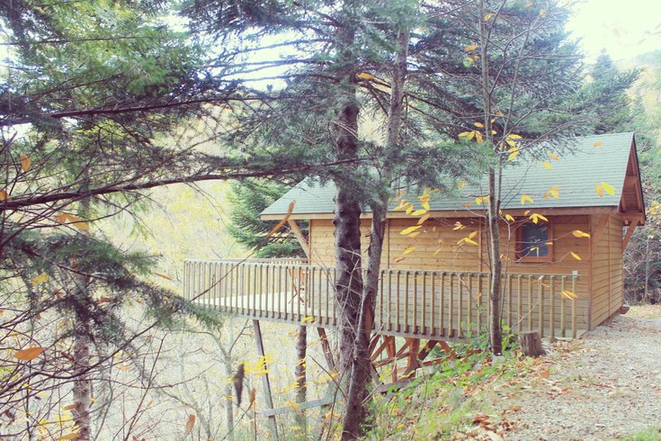 Hébergement AbracadaRoom : Cabane Séquoïa 1 - Image 11