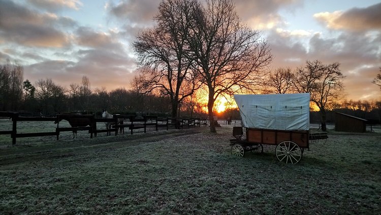 Domaine AbracadaRoom : Le Ranch Amadeus - Image 15