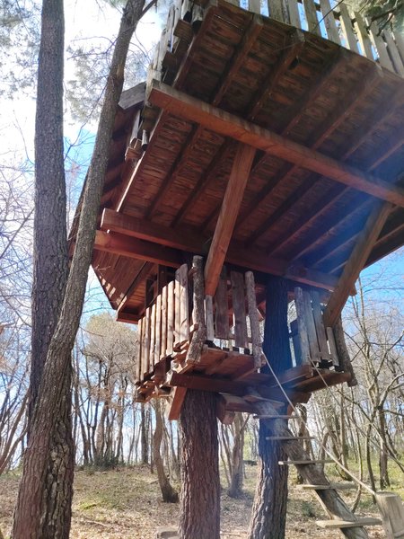 Hébergement AbracadaRoom : Cabane Nid d’Oiseaux - Un cocon perché qui danse avec le vent - Image 24