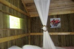 Cabane dans les arbres Marne