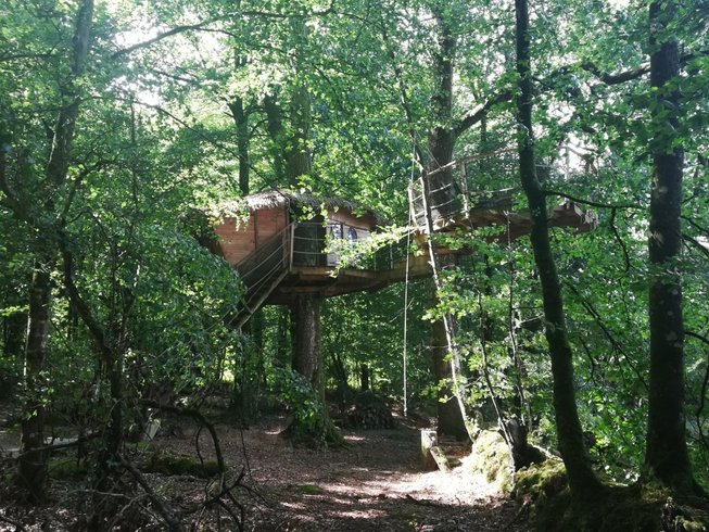 Hébergement AbracadaRoom : Tapis d'Or - Image 1