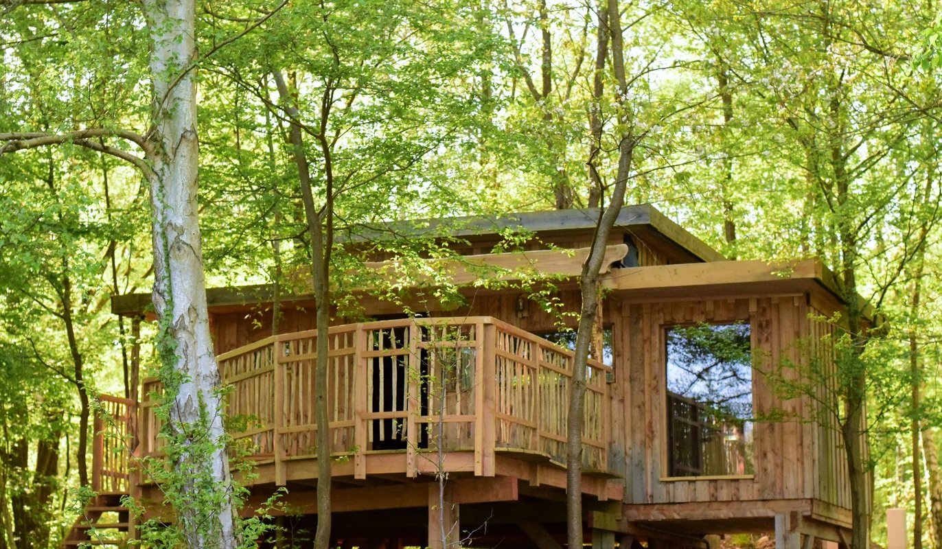 Cabane Au Fil de l'Eau à St-Léger-Aux-Bois (2)