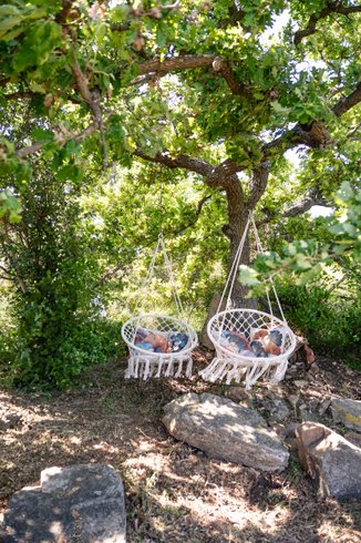 Hébergement AbracadaRoom : La Pyramide du Mas Berrugues - Image 11