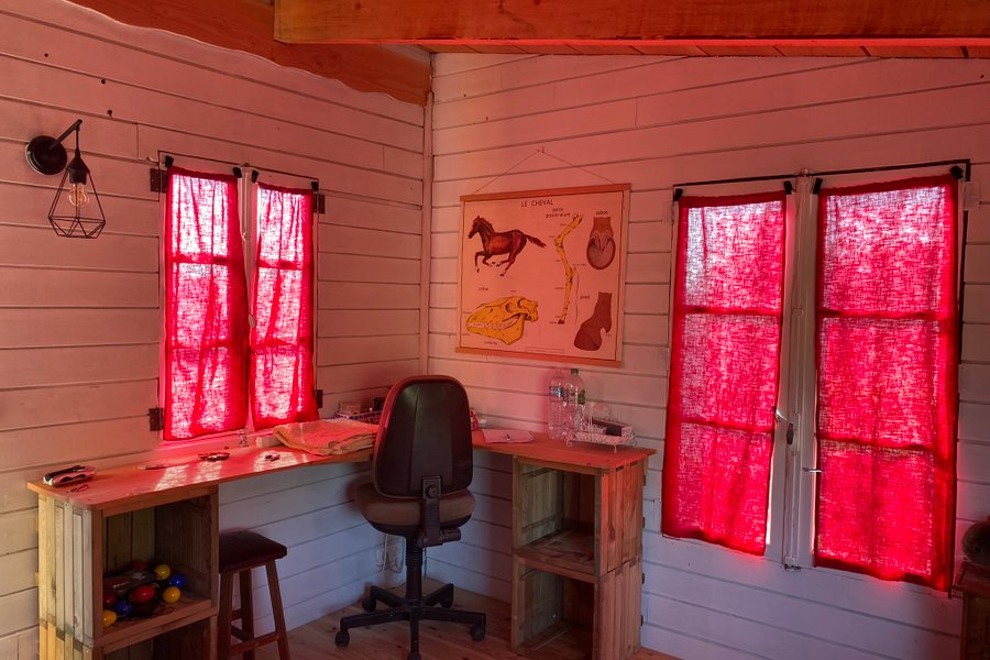 La Cabane dans le chêne tricentenaire — photo 2