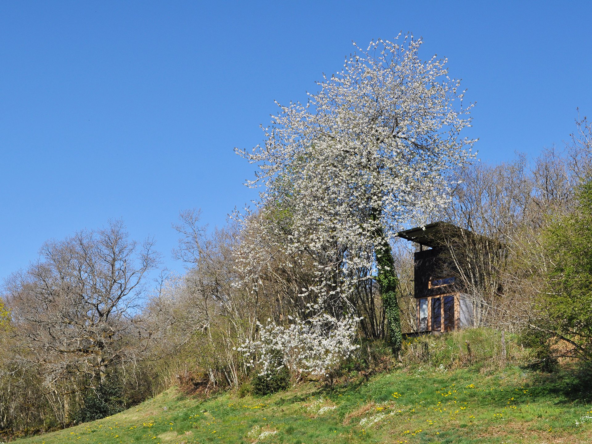 Cabane Latite