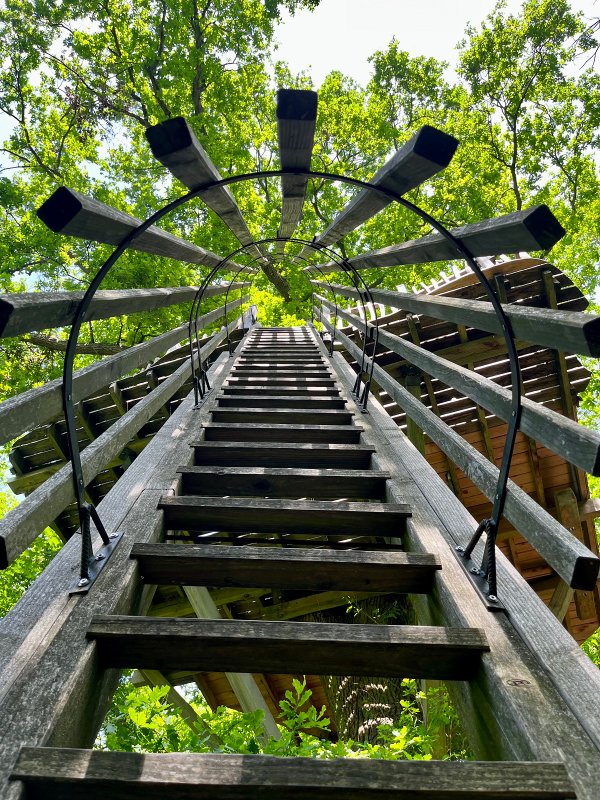 Cabane Secrète à Raray (5)