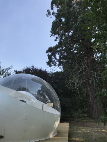 Hébergement AbracadaRoom : Bulle du Séquoia - Image 3