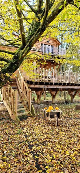 Hébergement AbracadaRoom : La  Belle Verte écolodge avec SPA - Image 41