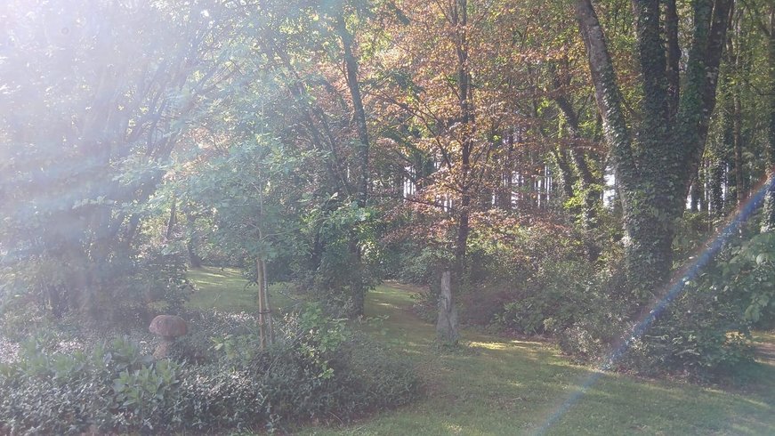 Domaine AbracadaRoom : Le Temple Ysambre - Image 10
