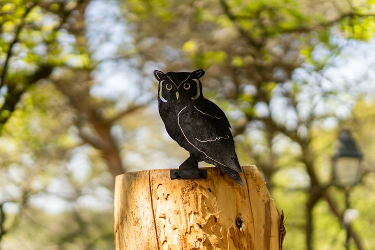 Hébergement AbracadaRoom : La Forêt Enchantée - Refuge au coeur du Vaucluse - Image 15