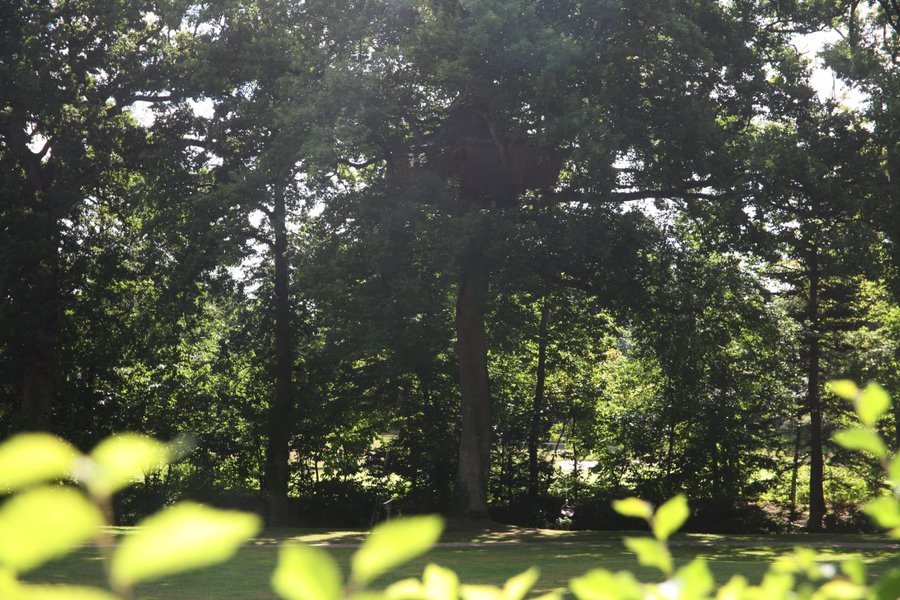 Hébergement AbracadaRoom : Cabane Par cœur - Image 9