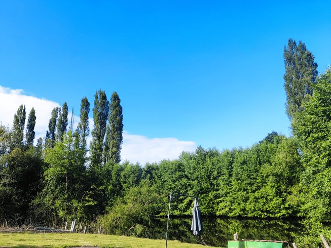 Domaine AbracadaRoom : Homnest (La Ferté Macé) - Image 6