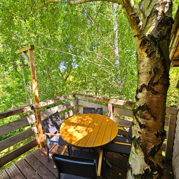 Hébergement AbracadaRoom : L'Ours Brun - Image 8