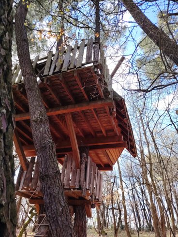 Hébergement AbracadaRoom : Cabane Nid d’Oiseaux - Un cocon perché qui danse avec le vent - Image 36