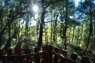 Cabane dans les arbres Alpes-de-Haute-Provence