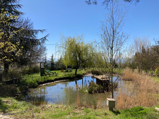 Hébergement AbracadaRoom : La Roulotte de Campras - Image 28