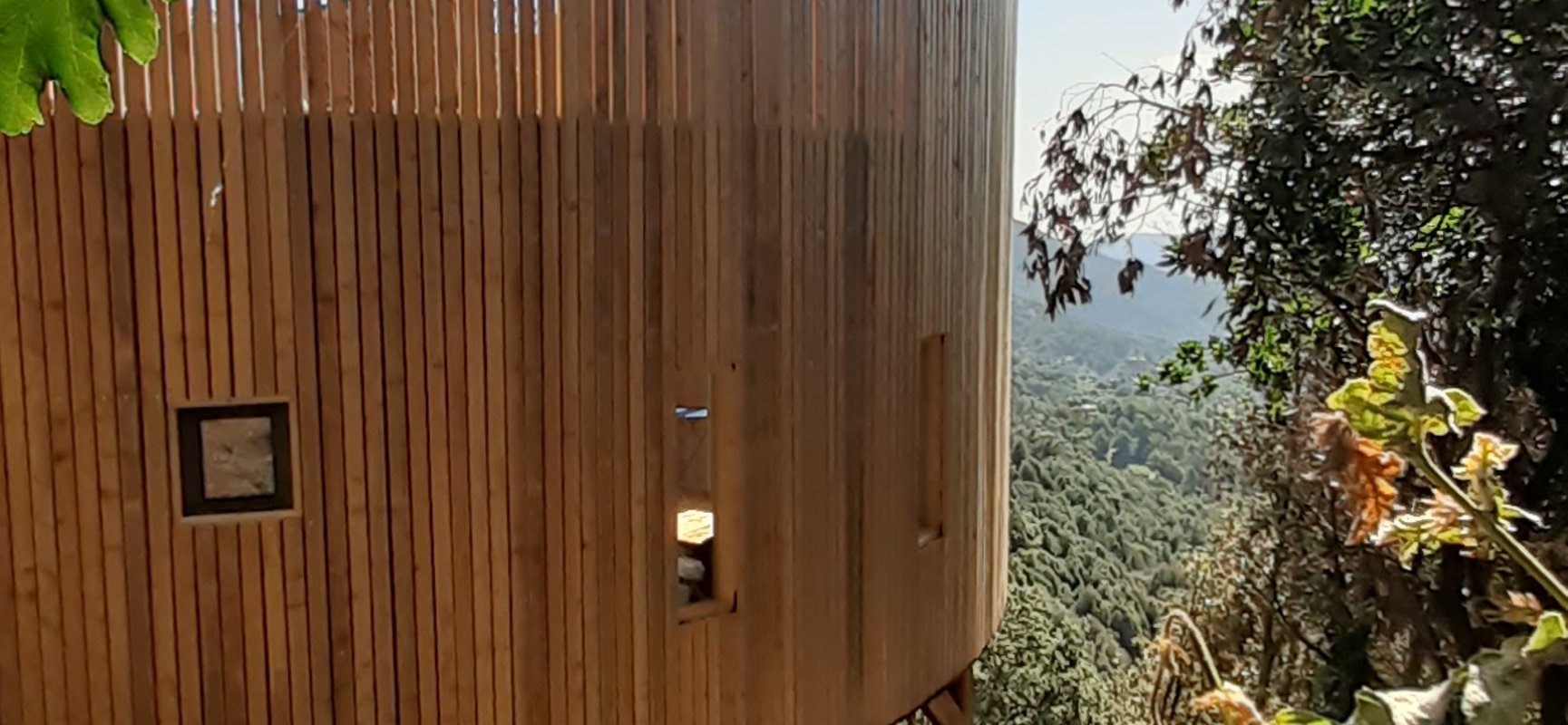 Cabane l'Albitru à Poggio-Marinaccio (5)