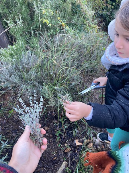 Domaine AbracadaRoom : La mauvaise herbe - Image 7