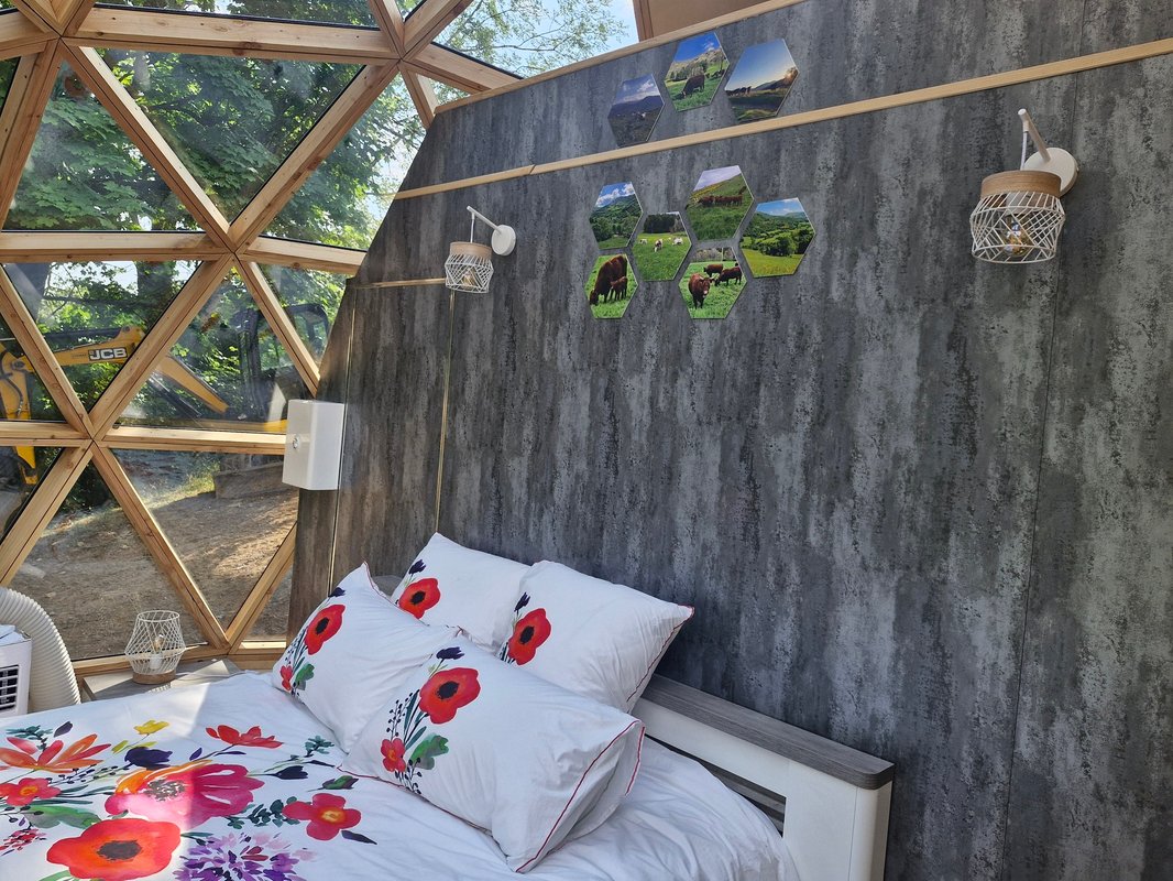 Bulle de Printemps & Spa à Mandailles - Saint Julien (6)