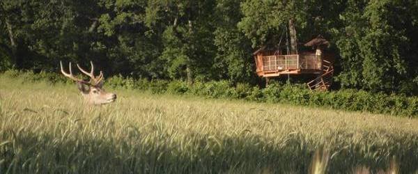 Hébergement AbracadaRoom : Cabane Asiatique - Image 6