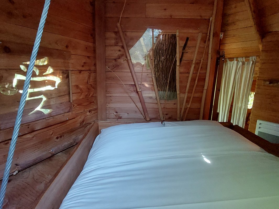 Cabane Zen perchée dans un arbre centenaire à Pons (7)