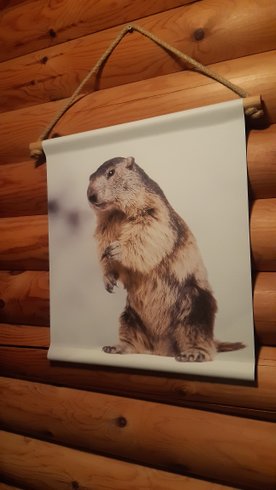 Hébergement AbracadaRoom : Le chalet des marmottes - Image 10