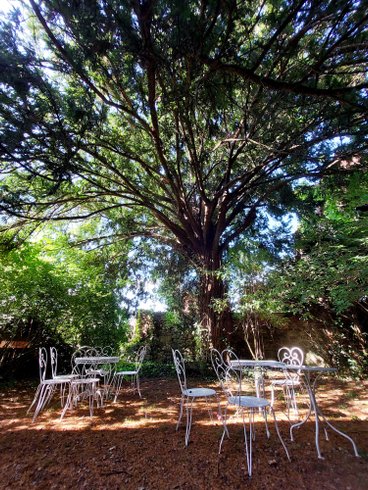 Hébergement AbracadaRoom : Manoir de Laroque Delprat - Suite de Lao Tseu - Image 8