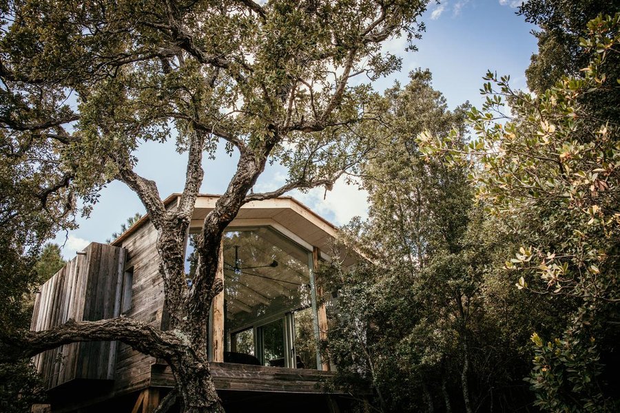 Hébergement AbracadaRoom : Orion, Cabane Casanghjulina - Image 1